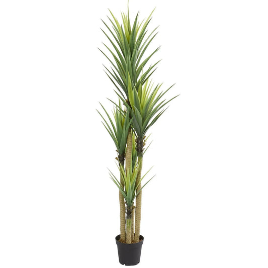 7 ft artificial Dracaena plant with green leaves and multiple trunks in a black pot on Tampa Home & Garden Store