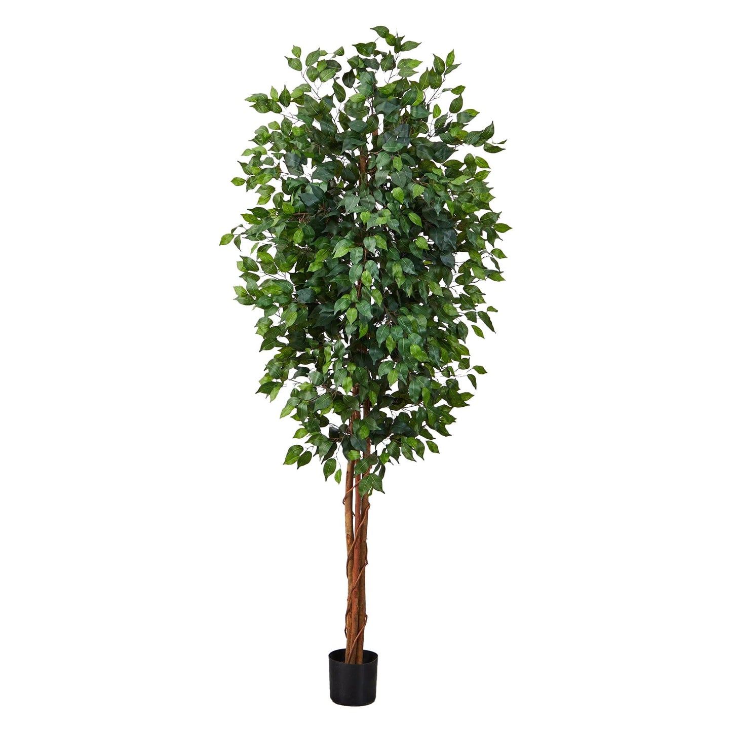 Árbol de seda ficus de 7 pies 