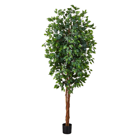 Ficus en soie de 7 pieds 