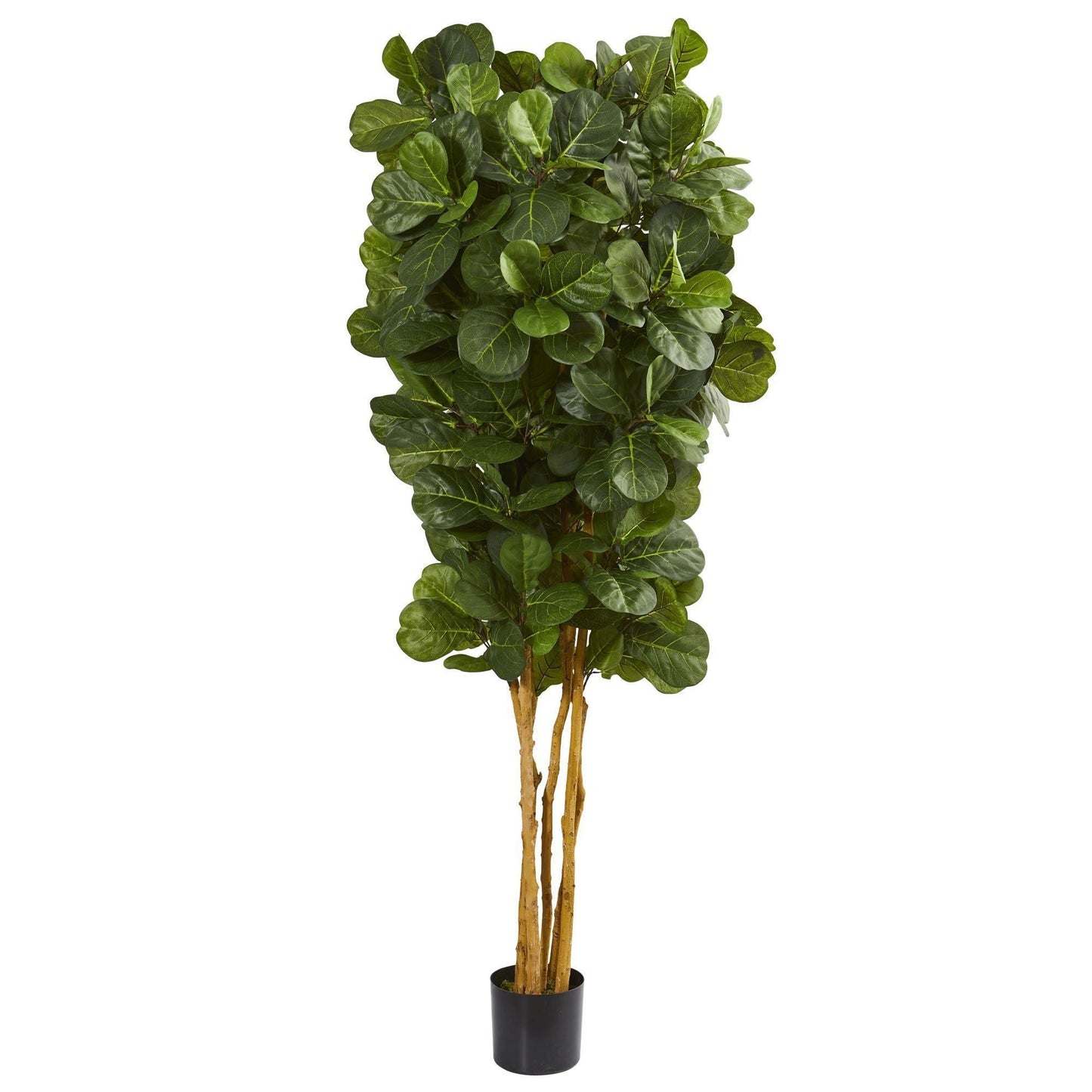 7’ Fiddle Leaf Fig Artificial Tree Beige Trunk with lush green rounded leaves on Tampa Home & Garden Store