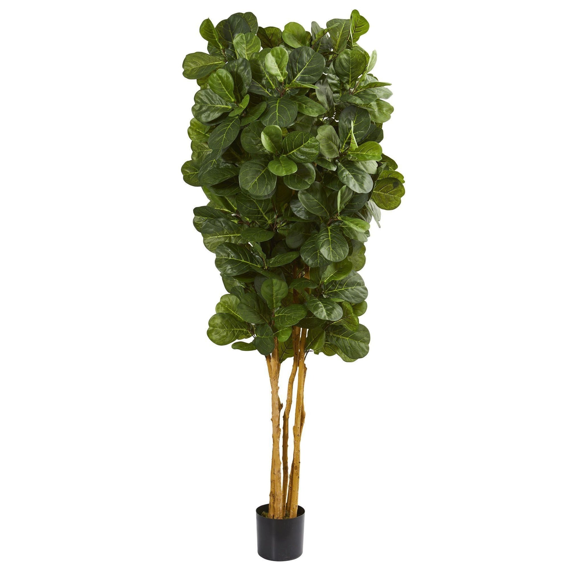 7’ Fiddle Leaf Fig Artificial Tree Beige Trunk with lush green rounded leaves on Tampa Home & Garden Store