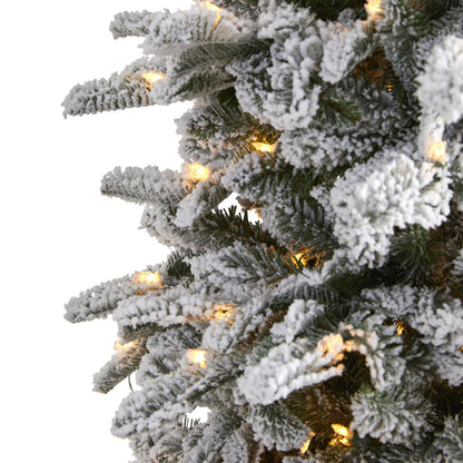 7 ft flocked North Carolina fir tree with 550 warm white lights and 2090 bendable branches on Tampa Home & Garden Store