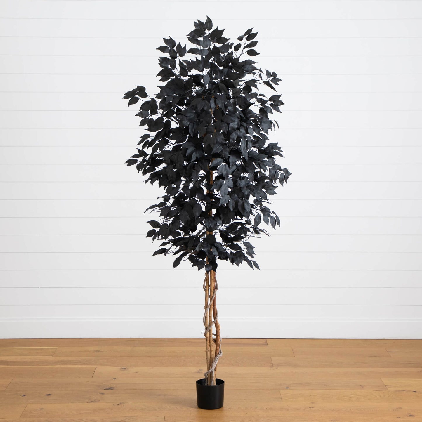 7 ft artificial black ficus tree with natural trunk in black pot Nearly Natural on Tampa Home & Garden Store