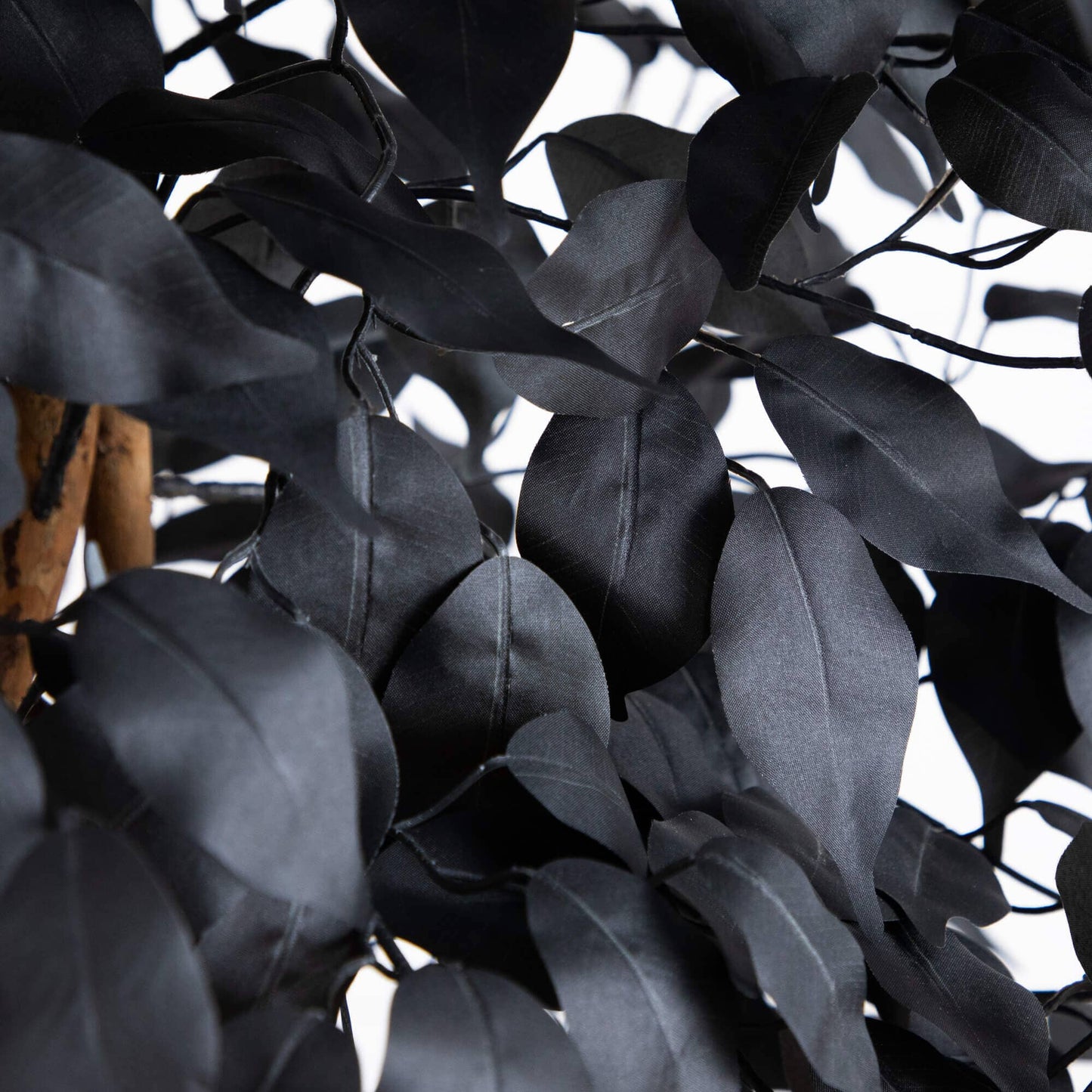 7' Artificial Halloween Black Ficus Tree with Natural Trunk black ficus leaves close-up on Tampa Home & Garden Store