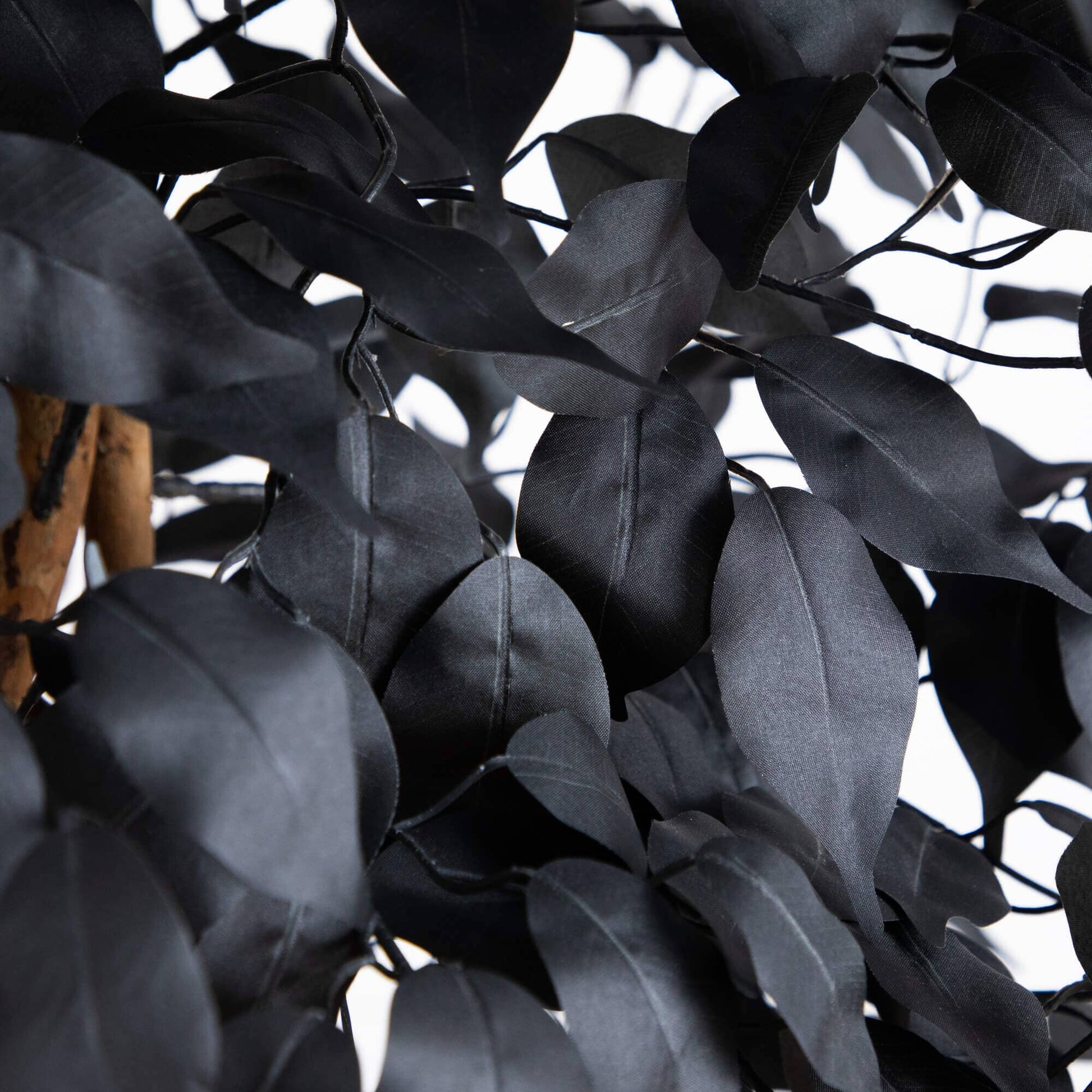 7' Artificial Halloween Black Ficus Tree with Natural Trunk black ficus leaves close-up on Tampa Home & Garden Store