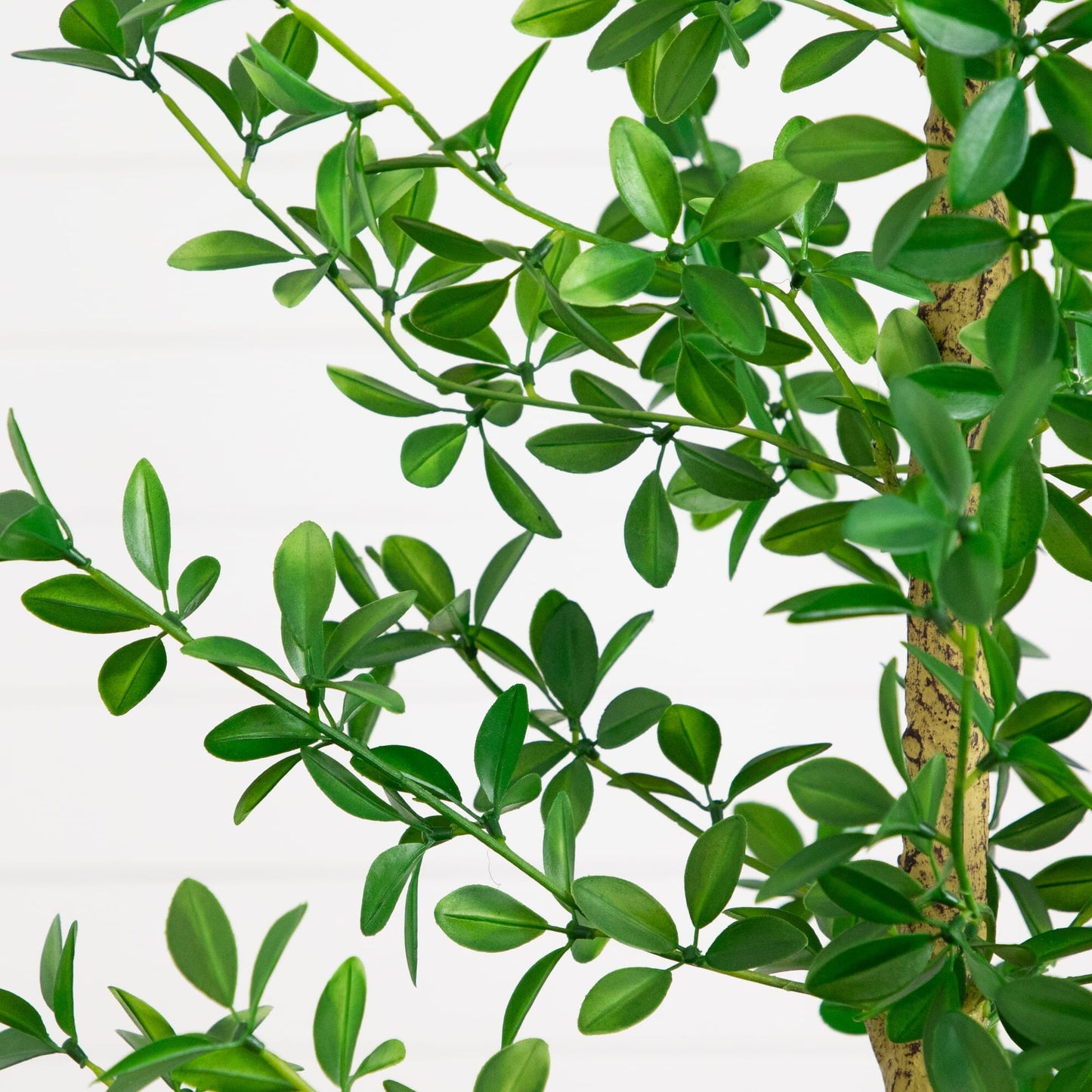 7' Artificial Shady Lady Black Olive Tree by Nearly Natural with green leaves and trunk on Tampa Home & Garden Store