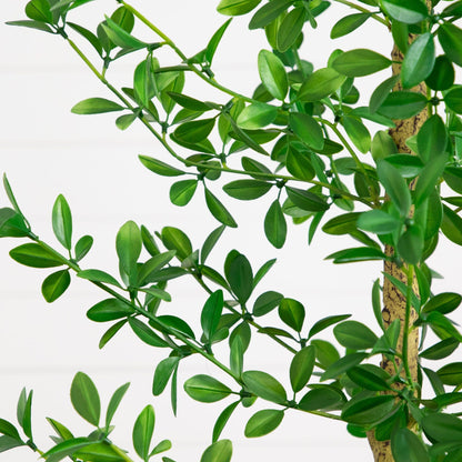 7' Artificial Shady Lady Black Olive Tree by Nearly Natural with green leaves and trunk on Tampa Home & Garden Store