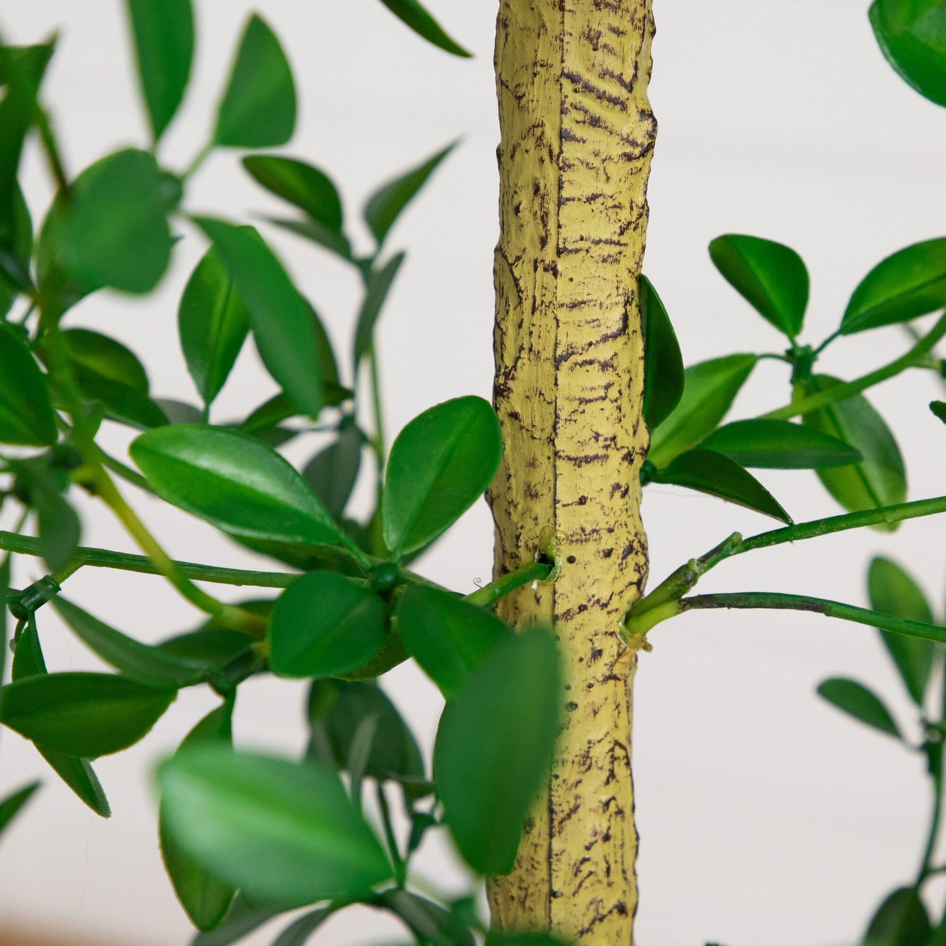 7' Artificial Shady Lady Black Olive Tree by Nearly Natural with textured trunk and green leaves on Tampa Home & Garden Store