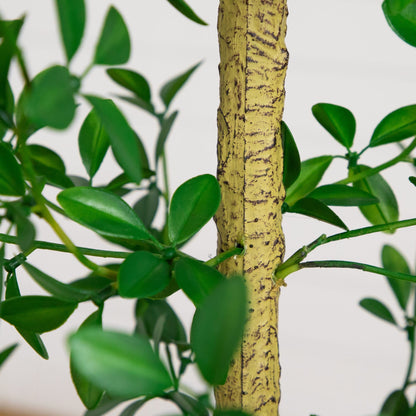 7' Artificial Shady Lady Black Olive Tree by Nearly Natural with textured trunk and green leaves on Tampa Home & Garden Store