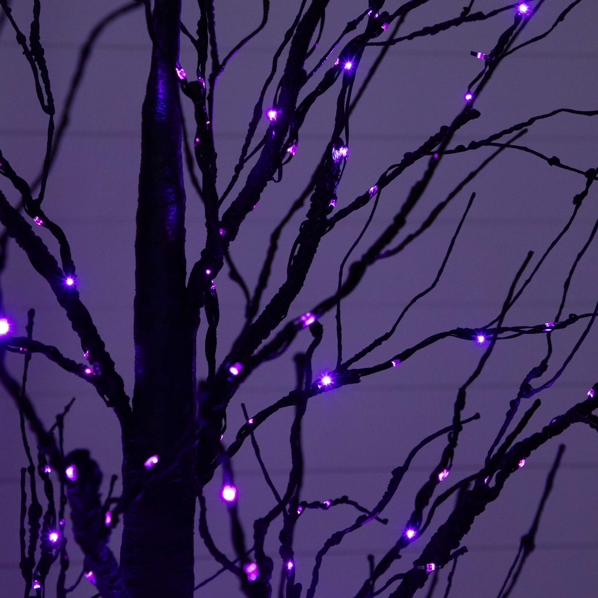 7' Pre-Lit Halloween Black Twig Artificial Tree with 390 orange and purple LEDs on Tampa Home & Garden Store