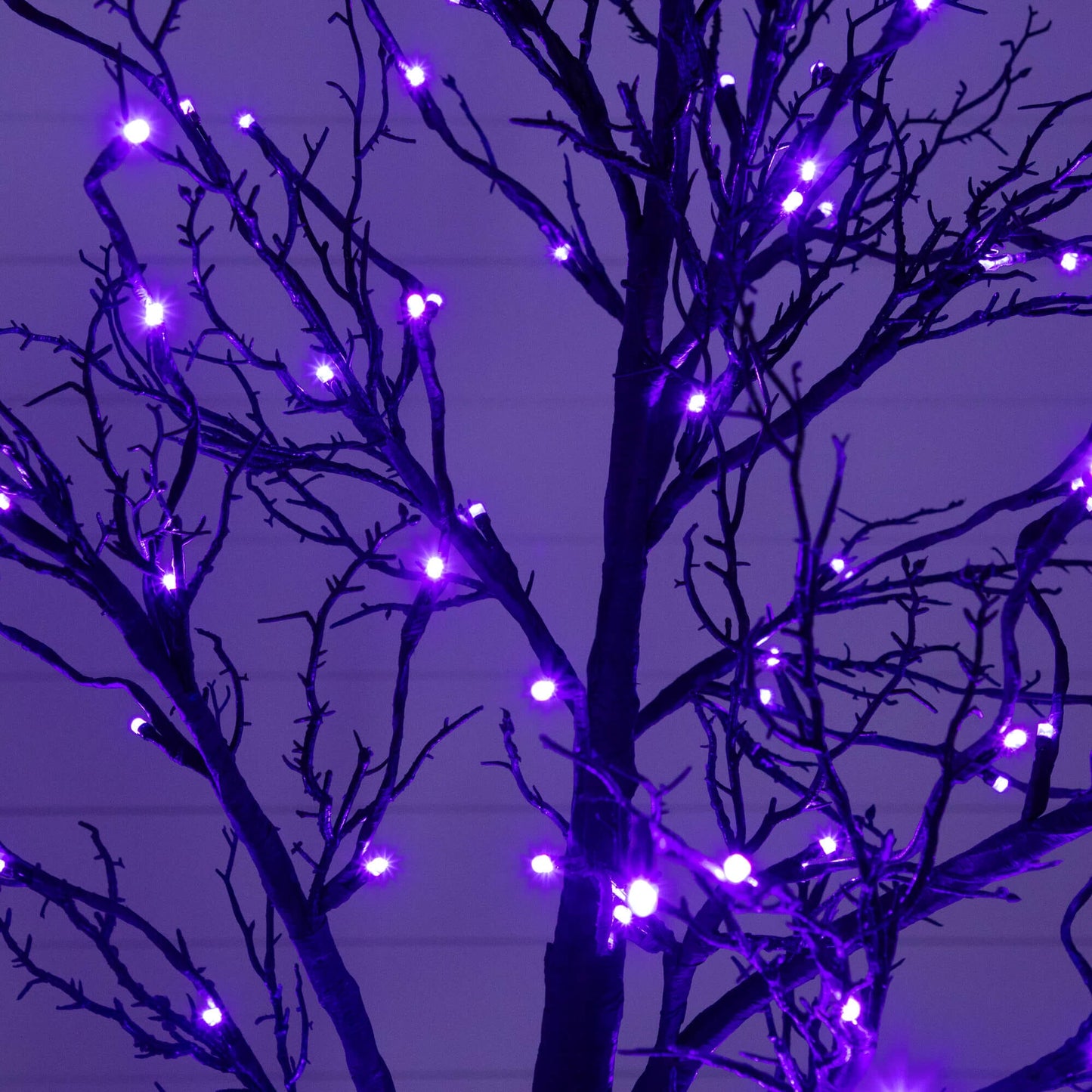 7' Black Twig Artificial Halloween Tree by Nearly Natural with 180 orange and purple LEDs on Tampa Home & Garden Store