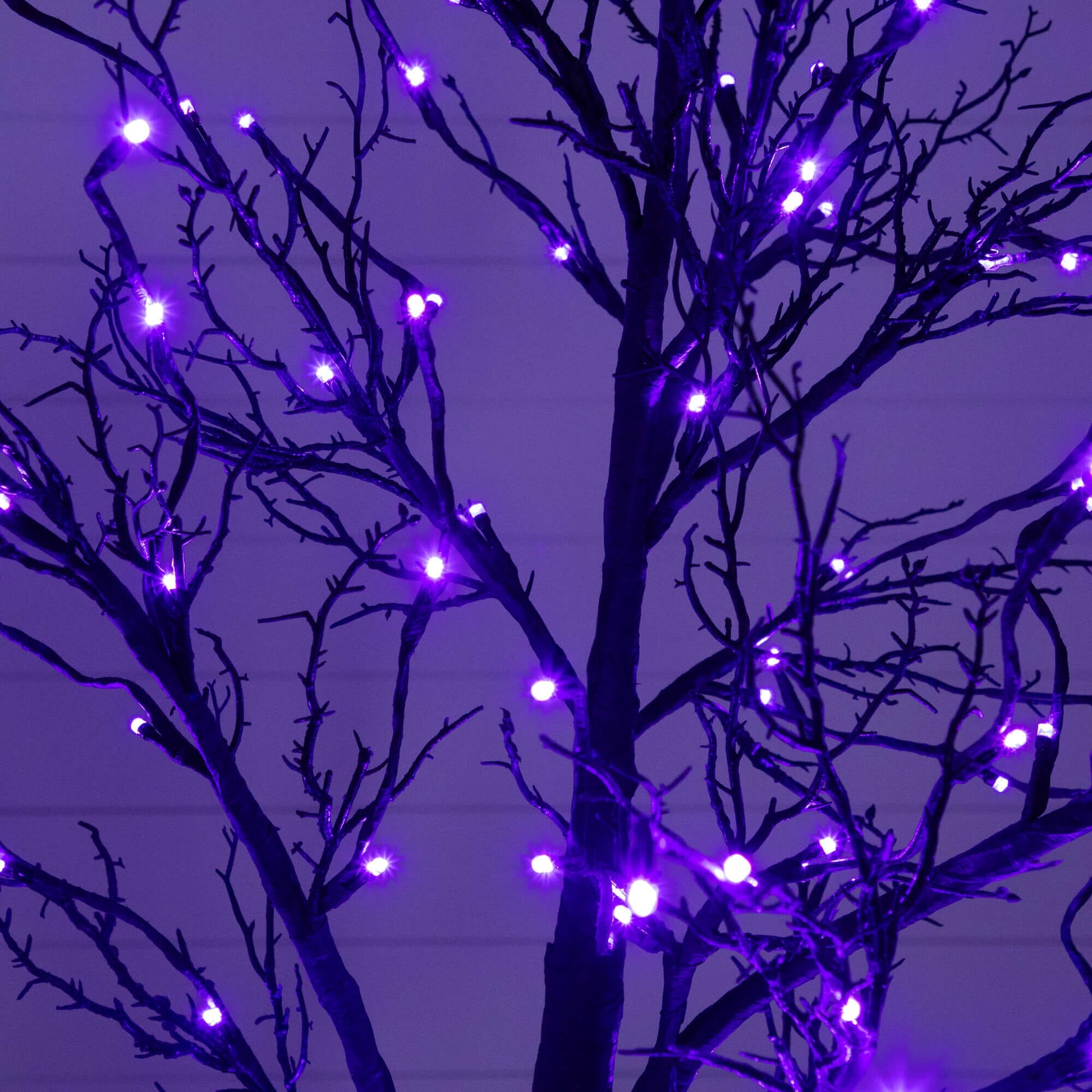 7' Black Twig Artificial Halloween Tree by Nearly Natural with 180 orange and purple LEDs on Tampa Home & Garden Store