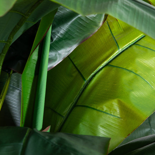 7' Giant Triple Stalk Banana Tree faux leaves close-up, UV resistant, Nearly Natural on Tampa Home & Garden Store