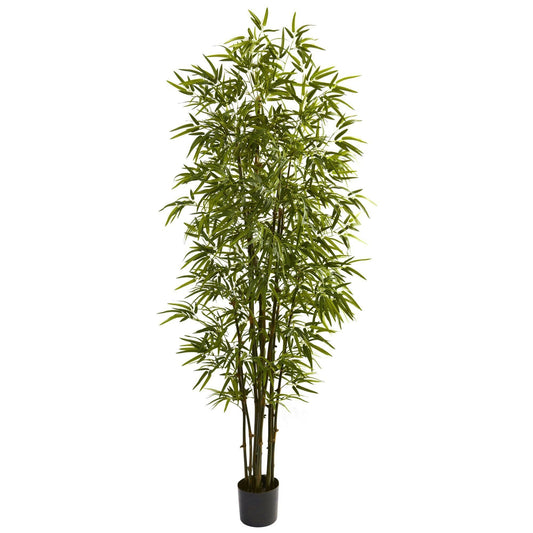 7’ Green Bamboo Tree - Tampa Home & Garden Store