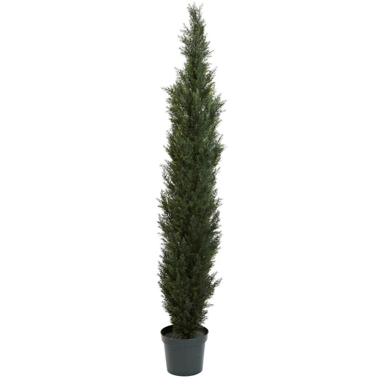 7' Mini Cedar Pine Tree (Indoor/Outdoor) - Tampa Home & Garden Store