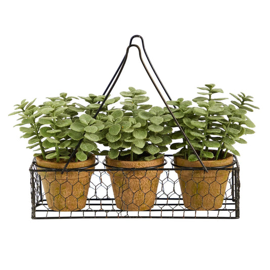 7 Inch Mini Jade Garden artificial plant in hanging planter with three pots, Nearly Natural on Tampa Home & Garden Store