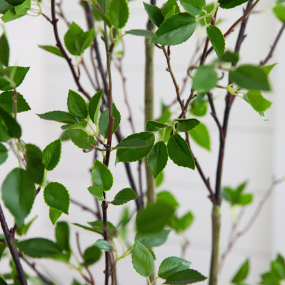 7' Minimalist Citrus Artificial Tree