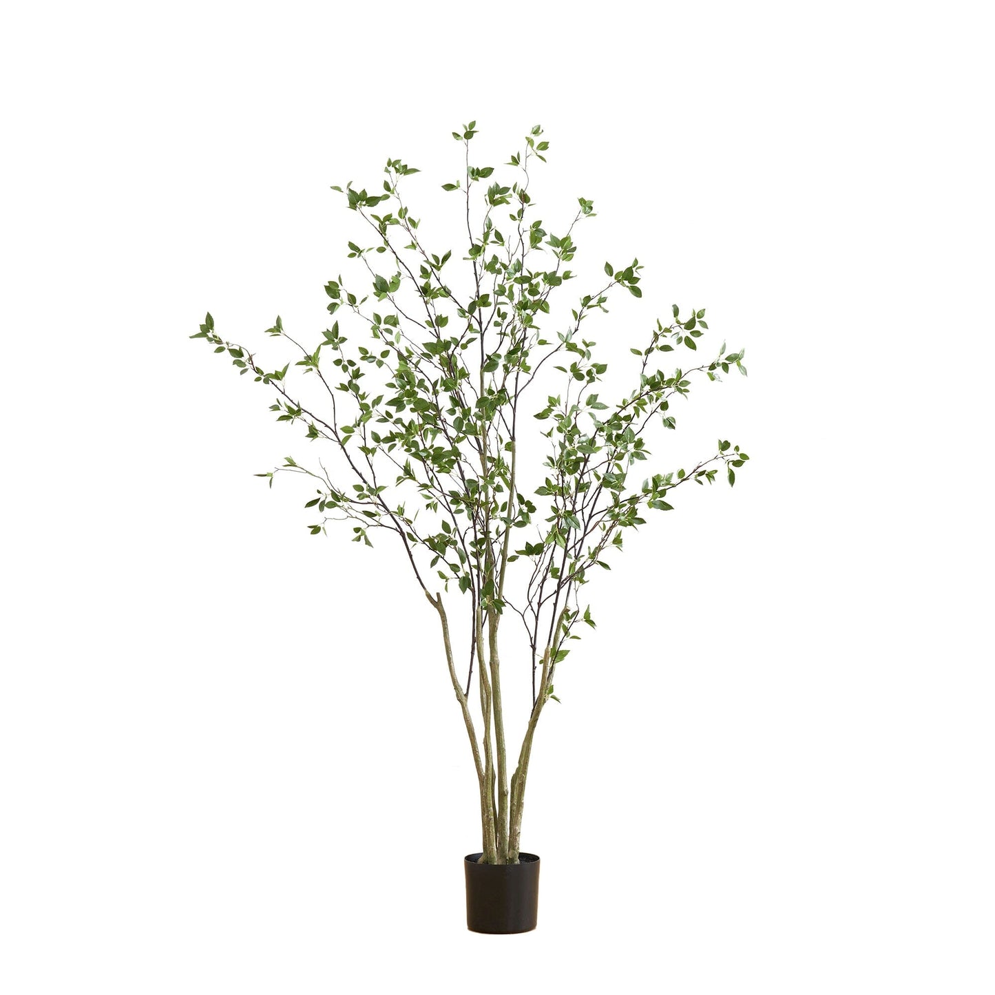Minimalist Citrus Artificial Tree 7 Foot