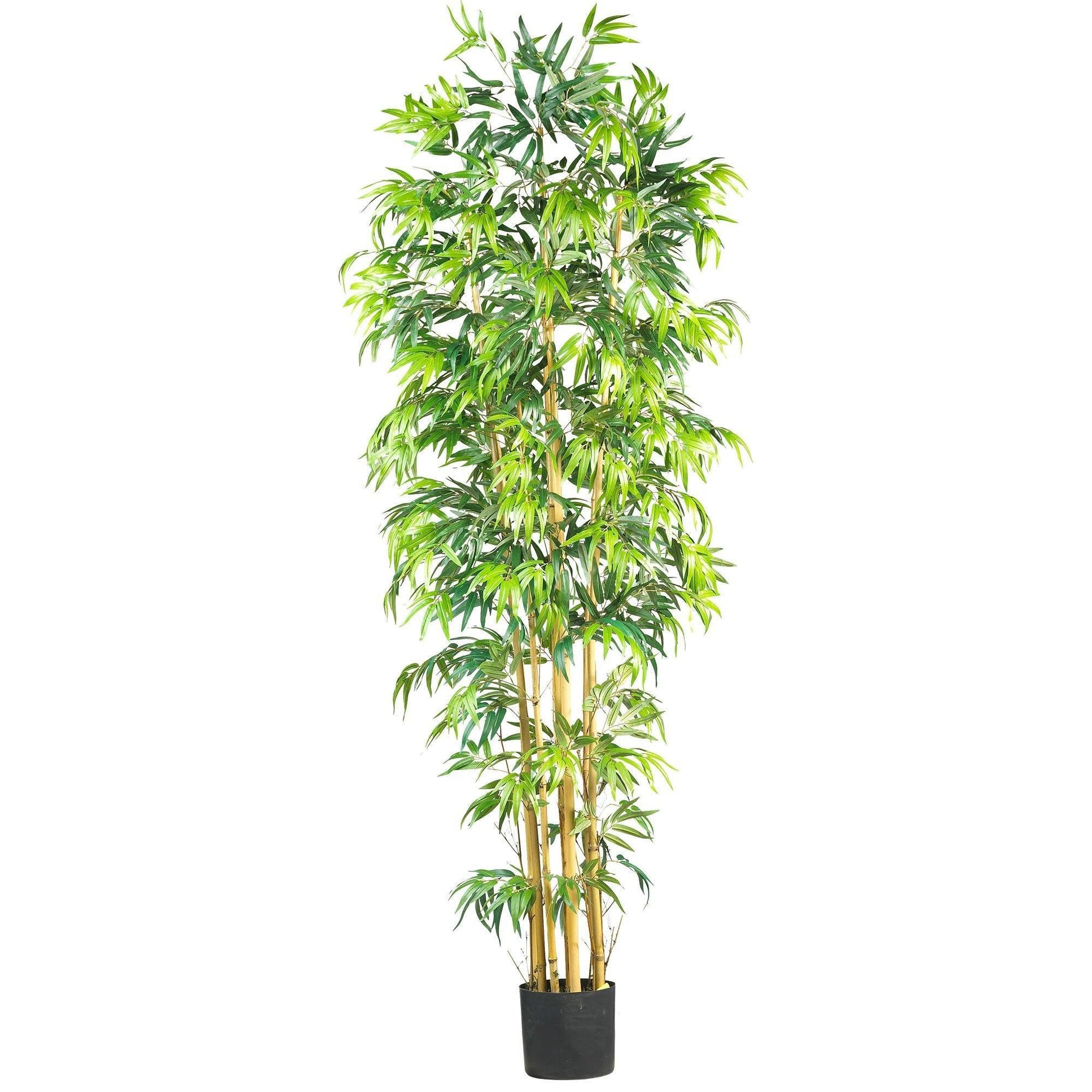 7' Multi Bambusa Bamboo Silk Tree by Nearly Natural with green leaves in a black planter on Tampa Home & Garden Store
