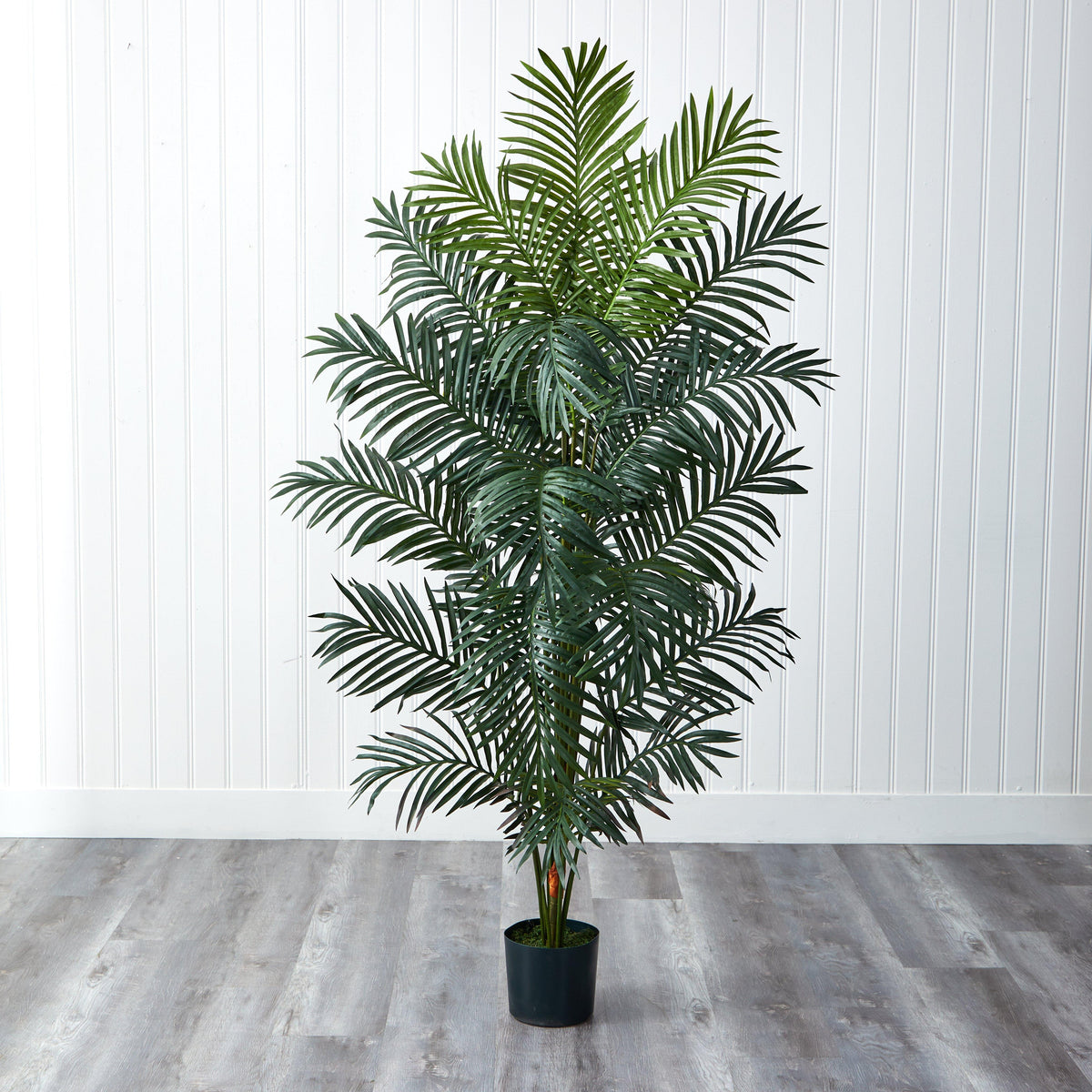 7' Paradise Palm Nearly Natural artificial palm tree in black pot on Tampa Home & Garden Store