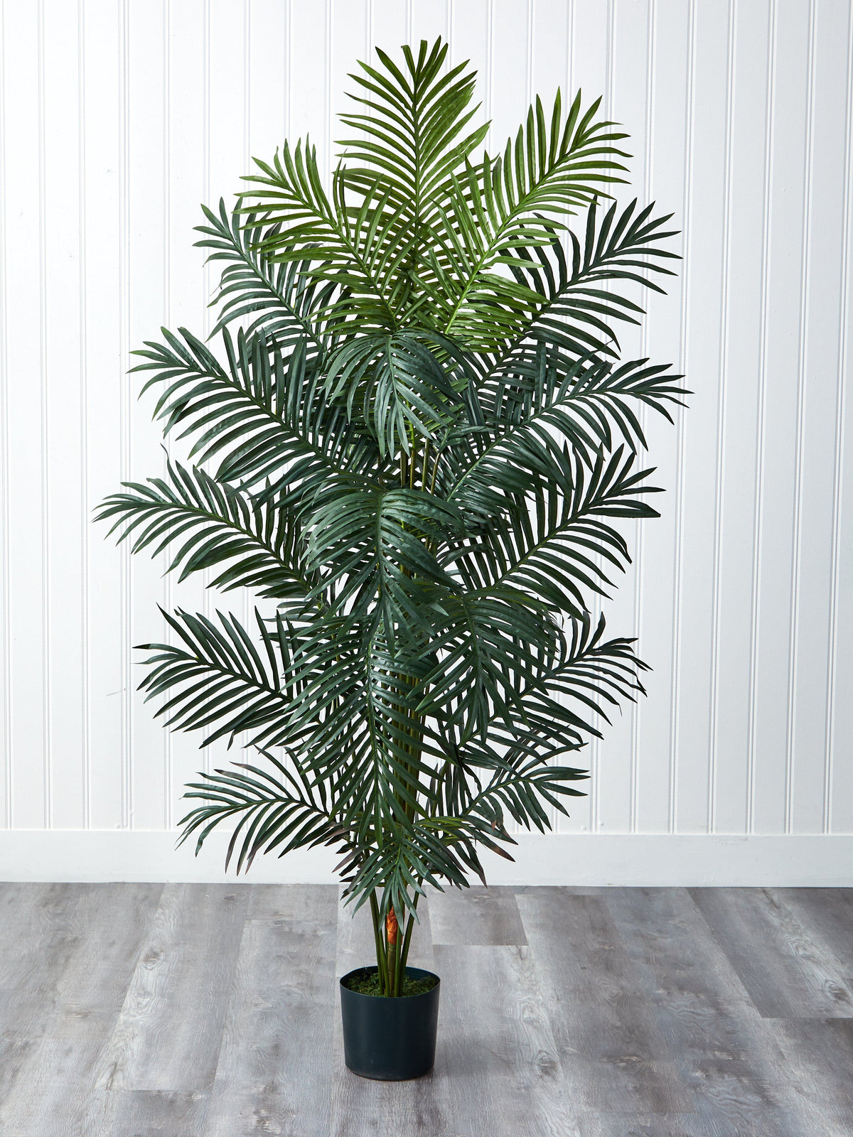 7' Paradise Palm artificial tree by Nearly Natural in a black pot indoor decor on Tampa Home & Garden Store