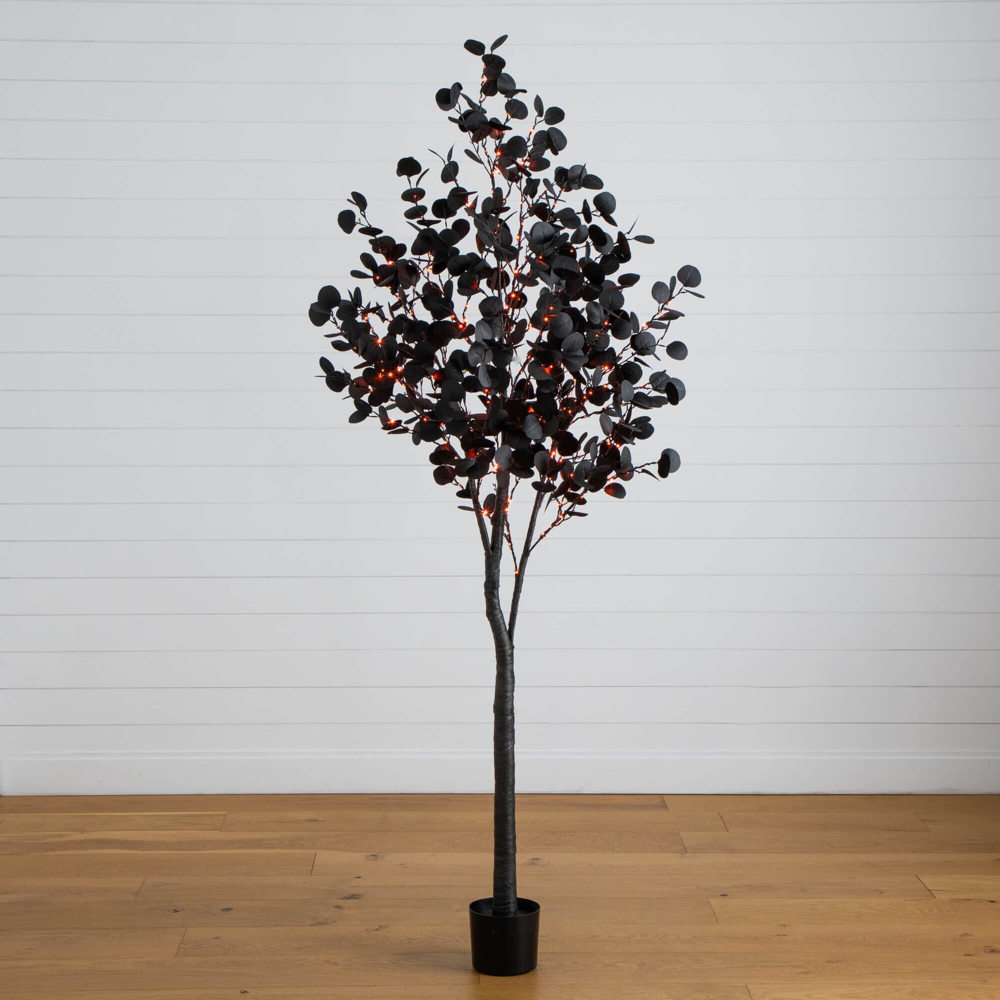 7' Pre-Lit Halloween Black Eucalyptus Tree with 420 orange and purple LEDs in a pot on Tampa Home & Garden Store