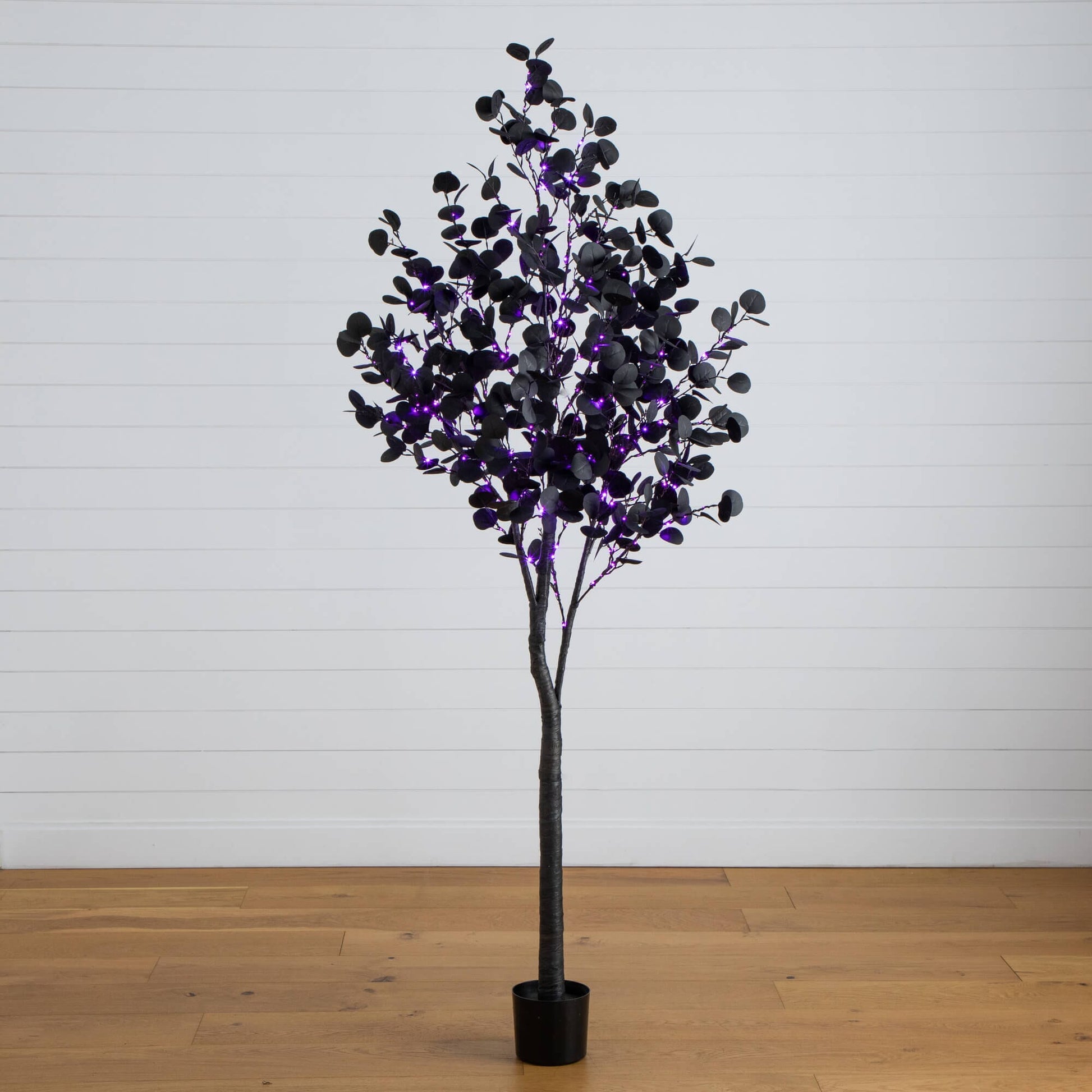 7 ft Nearly Natural Halloween black eucalyptus tree with purple/orange LED lights in black pot on Tampa Home & Garden Store
