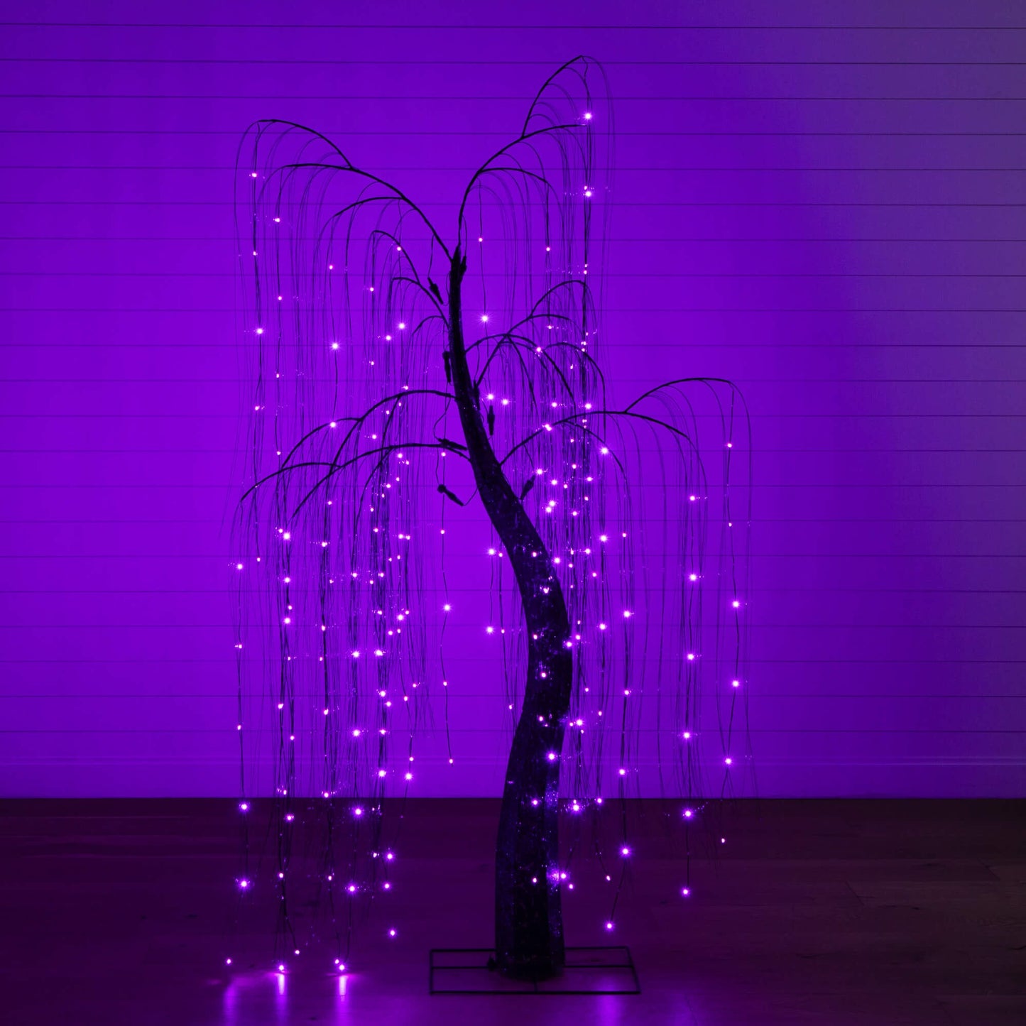 7' Pre-Lit Halloween Black Willow Tree with 600 purple & orange dual-color LED lights on Tampa Home & Garden Store