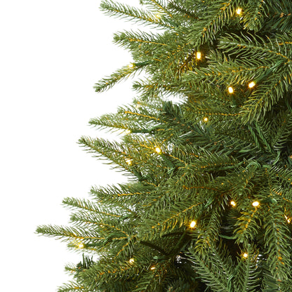 7’ Vancouver Fir artificial Christmas tree with 500 clear LED lights, 2542 bendable branches on Tampa Home & Garden Store