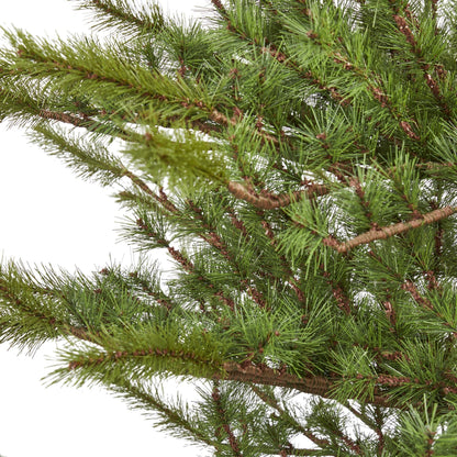 7' Vancouver Mountain Pine artificial Christmas tree 374 bendable branches Nearly Natural on Tampa Home & Garden Store