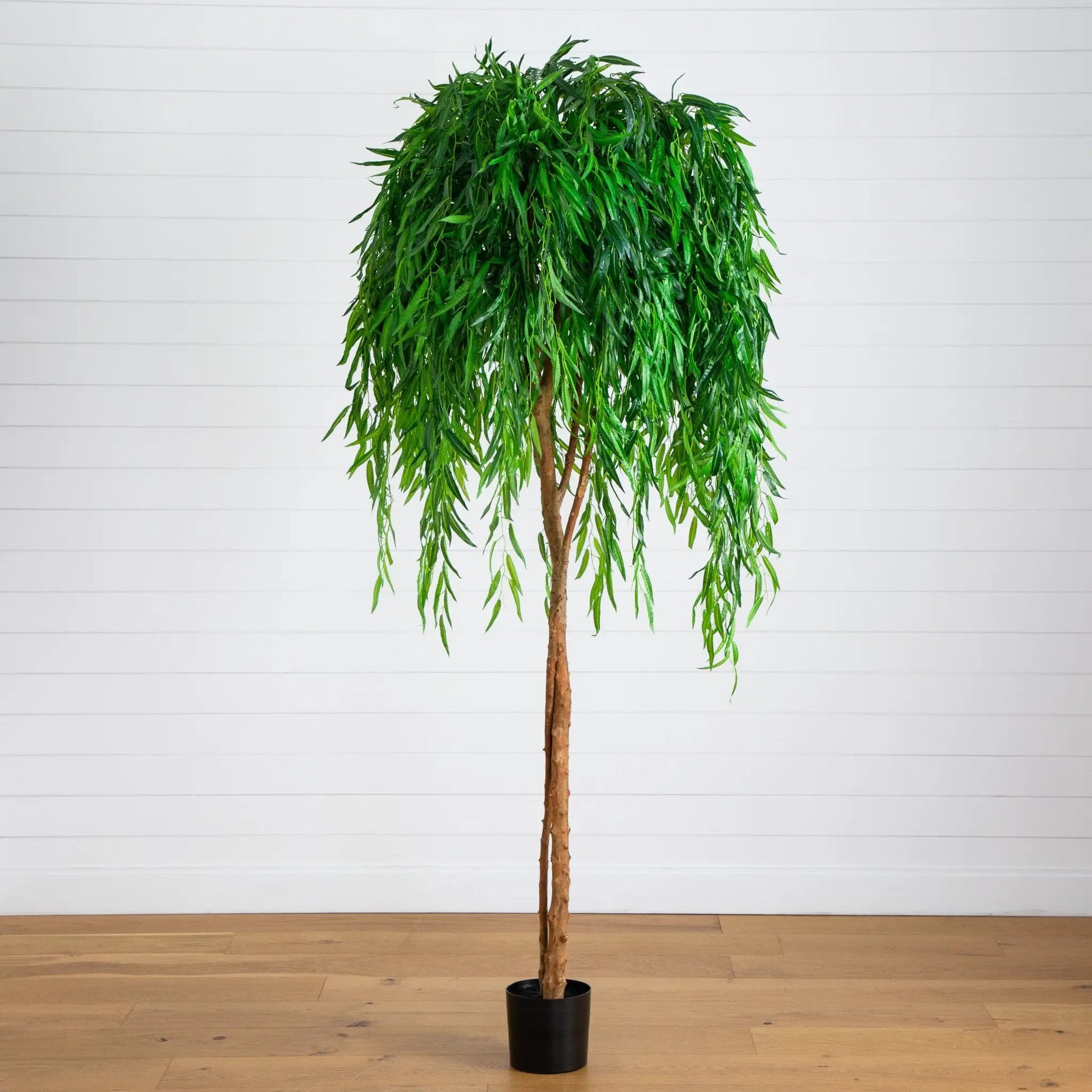 7 ft willow artificial tree in a black pot with drooping green leaves Nearly Natural decor on Tampa Home & Garden Store