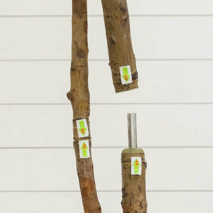 7 ft Willow artificial tree with bark-textured trunk segments for home decor Nearly Natural on Tampa Home & Garden Store