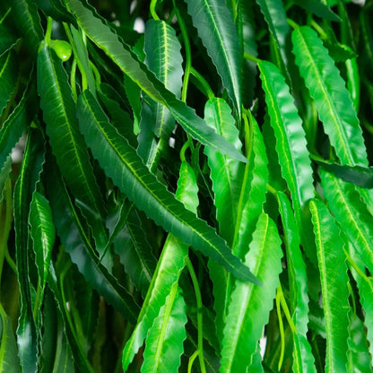 7 ft willow artificial tree with dense green leaves and slender hanging branches on Tampa Home & Garden Store