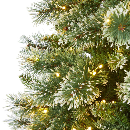 7’ Wisconsin Slim Snow Tip Pine Christmas Tree with 400 clear LED lights on Tampa Home & Garden Store