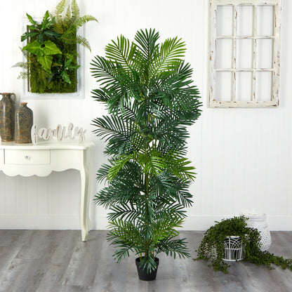 70-inch Areca palm tree by Nearly Natural in black pot, UV resistant indoor/outdoor on Tampa Home & Garden Store