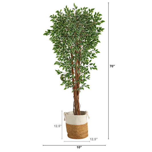 70” Variegated Ficus Tree in Handmade Jute and Cotton Planter UV Resistant (Indoor/Outdoor) - Tampa Home & Garden Store