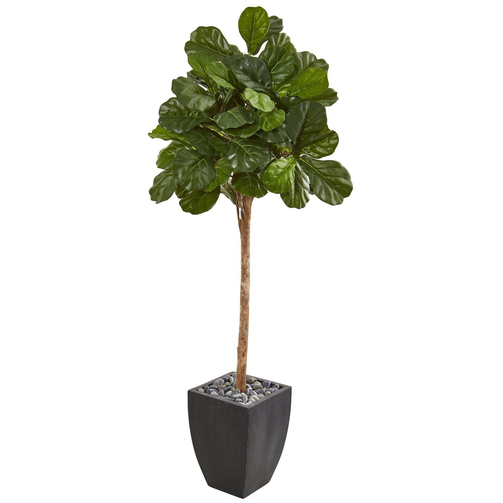 71in fiddle leaf fig artificial tree Nearly Natural in black planter with pebbles on Tampa Home & Garden Store