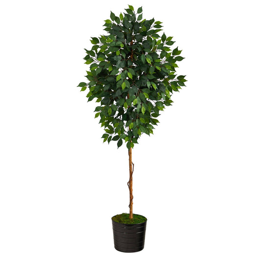 Ficus artificial de 74" en macetero de hojalata negro