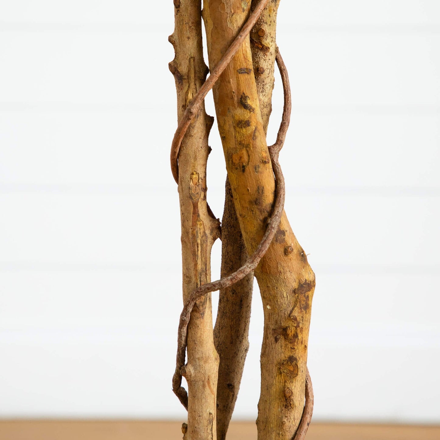 Artificial triple-trunk ficus tree close-up with natural brown bark texture on Tampa Home & Garden Store