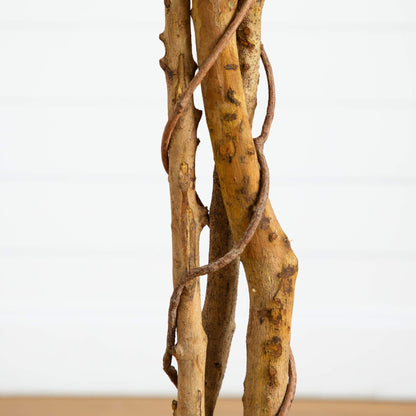 Artificial triple-trunk ficus tree close-up with natural brown bark texture on Tampa Home & Garden Store