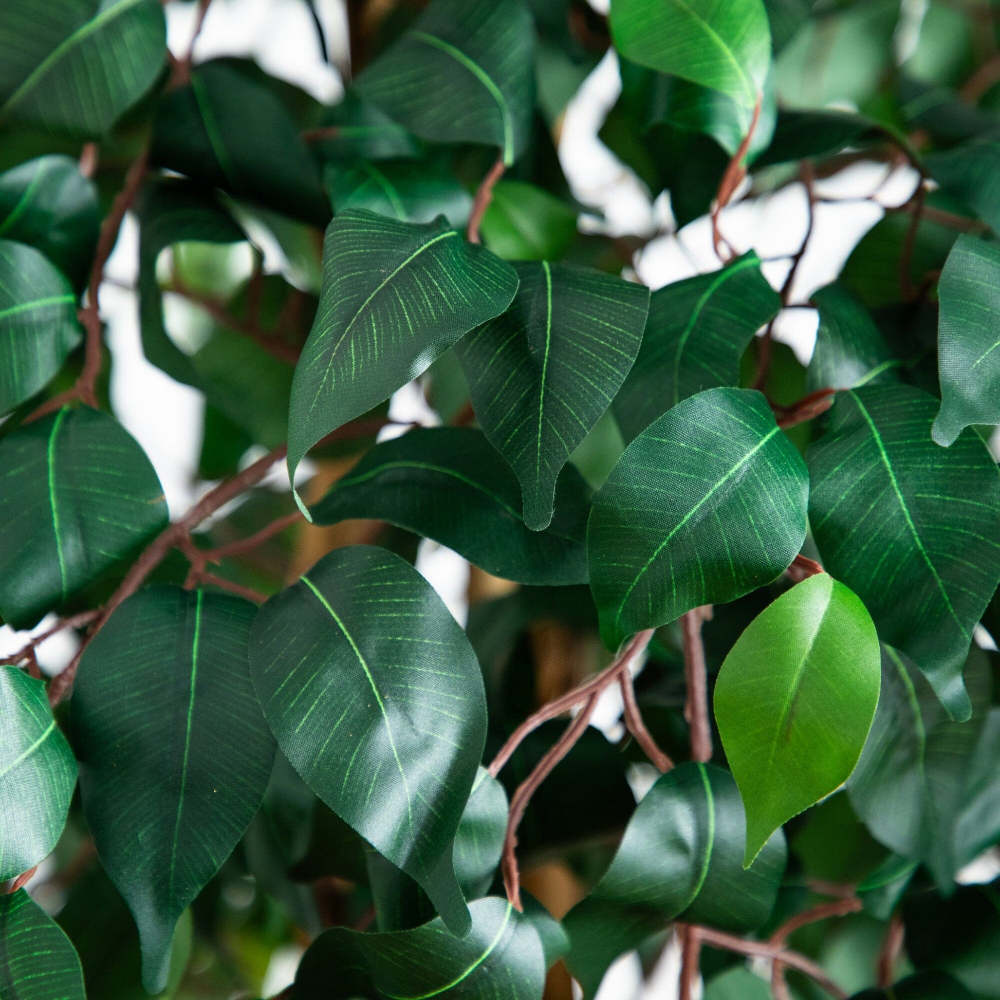 Artificial 74in triple-trunk Ficus tree foliage close-up with dark green leaves Nearly Natural on Tampa Home & Garden Store