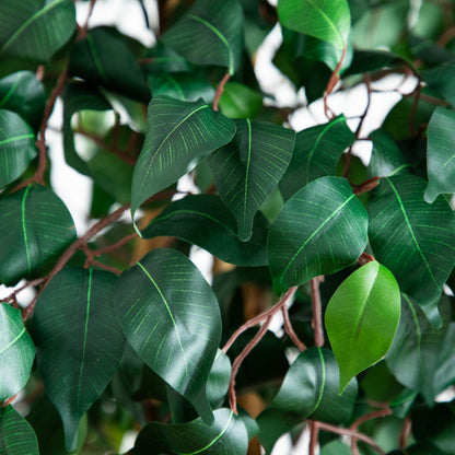 Artificial 74in triple-trunk Ficus tree foliage close-up with dark green leaves Nearly Natural on Tampa Home & Garden Store