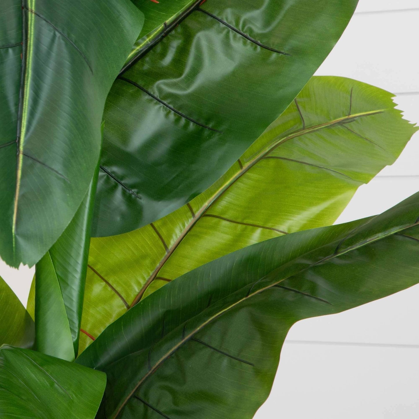 7.5’ Banana Artificial Tree by Nearly Natural; close-up of glossy green banana leaves on Tampa Home & Garden Store