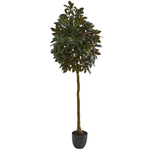 Nearly Natural Capensia Ficus artificial tree, 75in tall with dark green leaves in a pot on Tampa Home & Garden Store