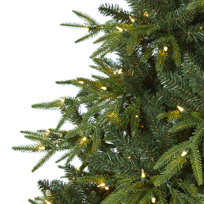 7.5’ Colorado Mountain Fir Natural Look artificial Christmas tree with 600 clear LED lights on Tampa Home & Garden Store