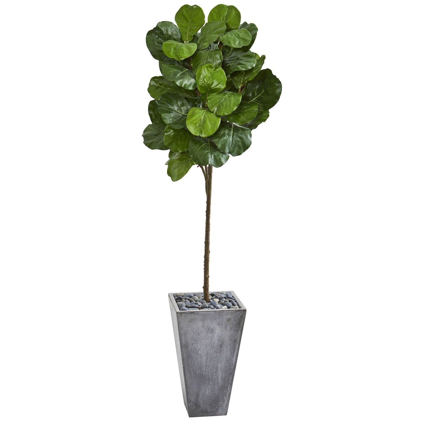 75” Fiddle Leaf Artificial Tree in Cement Planter with green leaves by Nearly Natural on Tampa Home & Garden Store