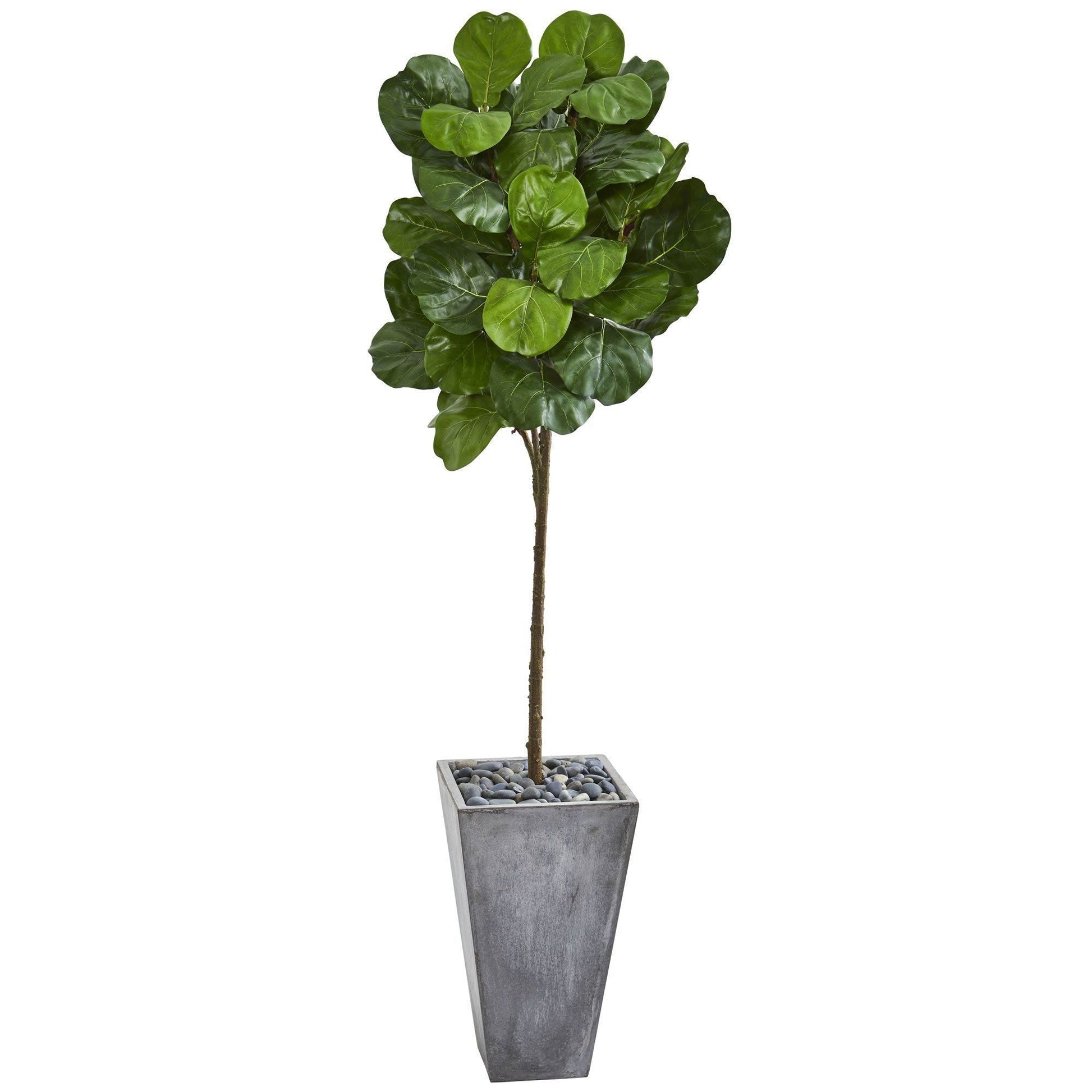 75” Fiddle Leaf Artificial Tree in Cement Planter with green leaves by Nearly Natural on Tampa Home & Garden Store