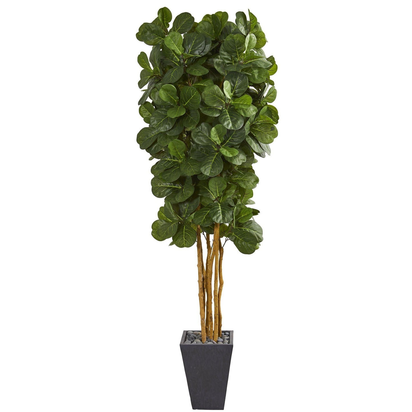 7.5' fiddle leaf artificial tree in slate planter with green leaves and decorative gray stones on Tampa Home & Garden Store