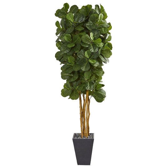 7.5' fiddle leaf artificial tree in slate planter with green leaves and decorative gray stones on Tampa Home & Garden Store