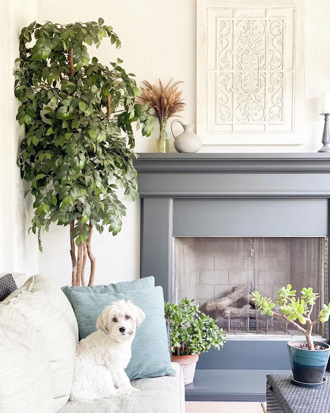 Nearly Natural 7.5ft Super Deluxe Ficus Tree with multiple trunks and green leaves indoors on Tampa Home & Garden Store